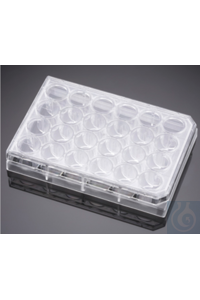 Falcon Membraneins&auml;tze Falcon&reg; Companion-Platten 24-well, klares Polystyrol...